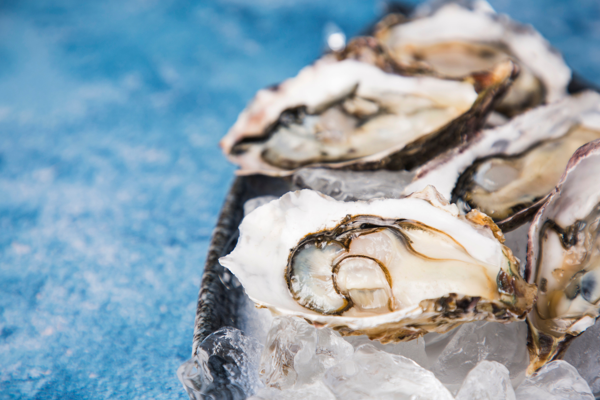 The benefits of shellfish: why