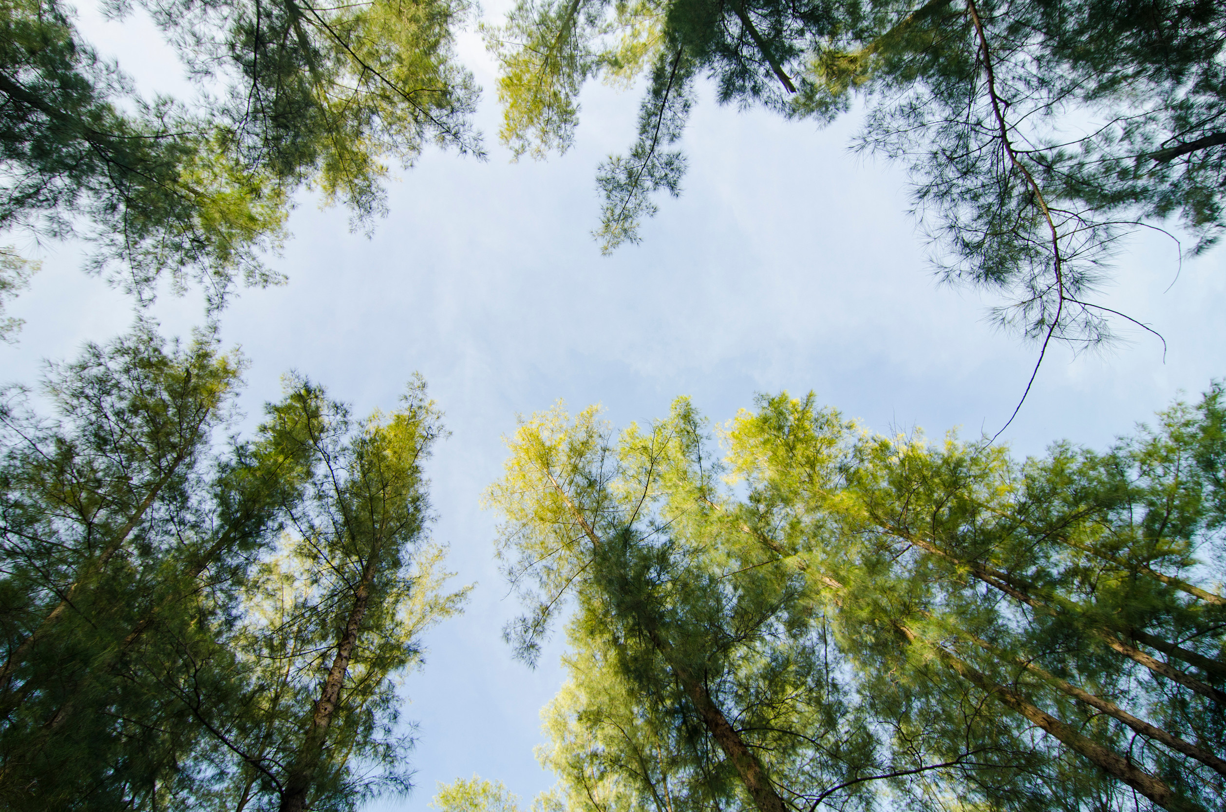 How DNA in the air could help 